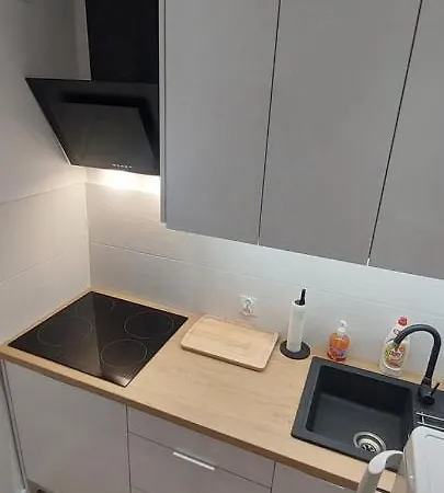 Apartament Koszutka - 100M Od Spodka Katovice Exteriér fotografie